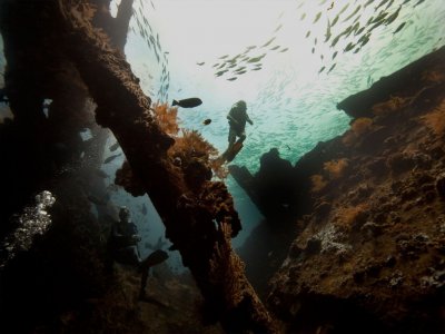 photo Diving in Bali 3