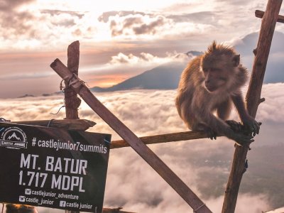 фото Индивидуальный тур по Бали и Гили 3