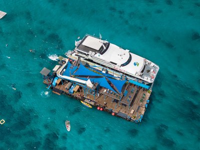 фото Reef cruise на Нуса Лембонган 8