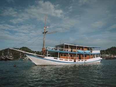 photo Standard boat 