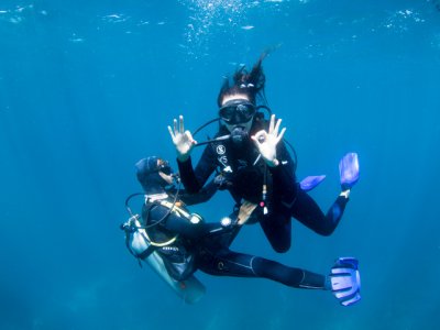 photo Diving with manta rays 3