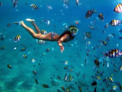 photo Snorkeling in Bali 4