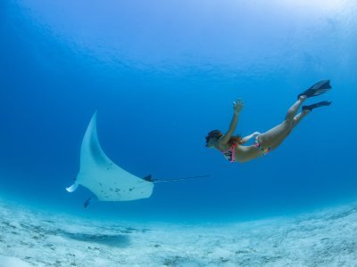 photo Snorkeling with manta rays 4