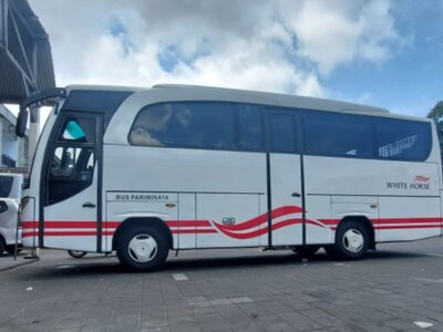 photo Private big bus and driver rental in Bali  4