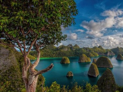 photo 7-Day Raja Ampat Island Tour 7