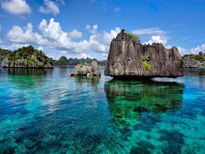 photo 7-Day Raja Ampat Island Tour 10