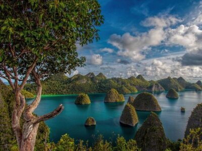 photo Diving Tour to Raja Ampat on the Deluxe Boat 