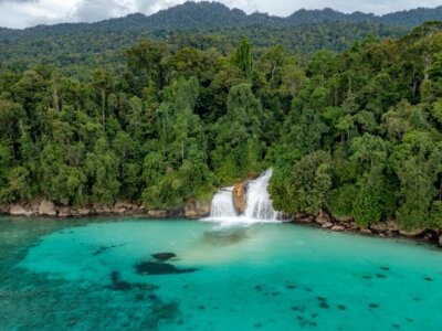 photo Diving Tour to Raja Ampat on the Deluxe Boat 