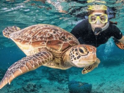 photo The Lost Islands of Gili 6