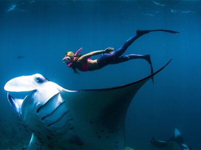 photo Snorkeling for Guests from Nusa Penida 1
