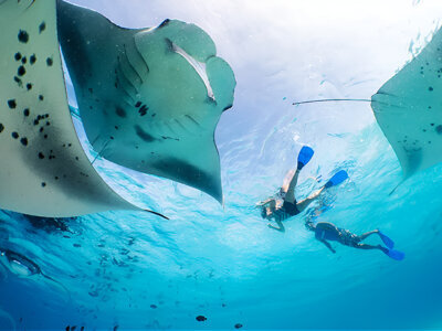 photo Group Yacht Tour to Nusa Penida and Snorkeling with Manta Rays 1